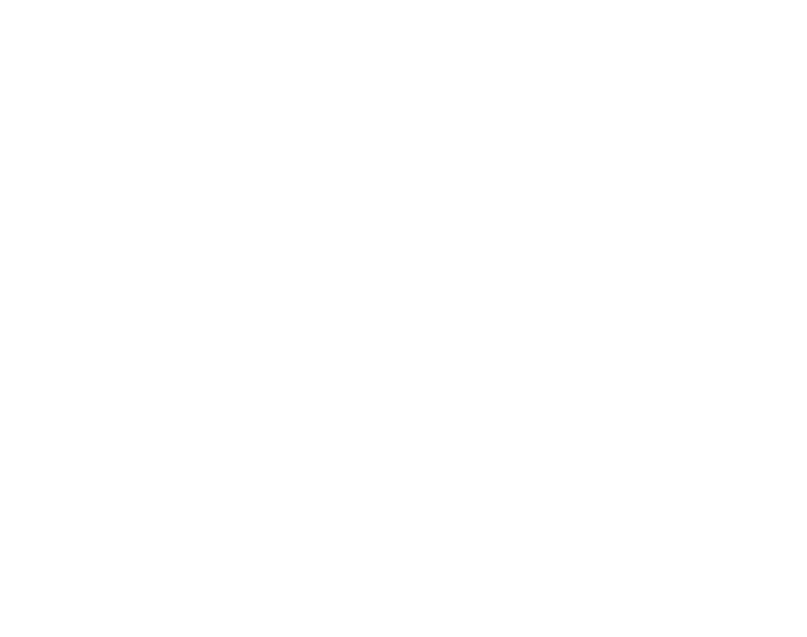 Rank Visibility logo